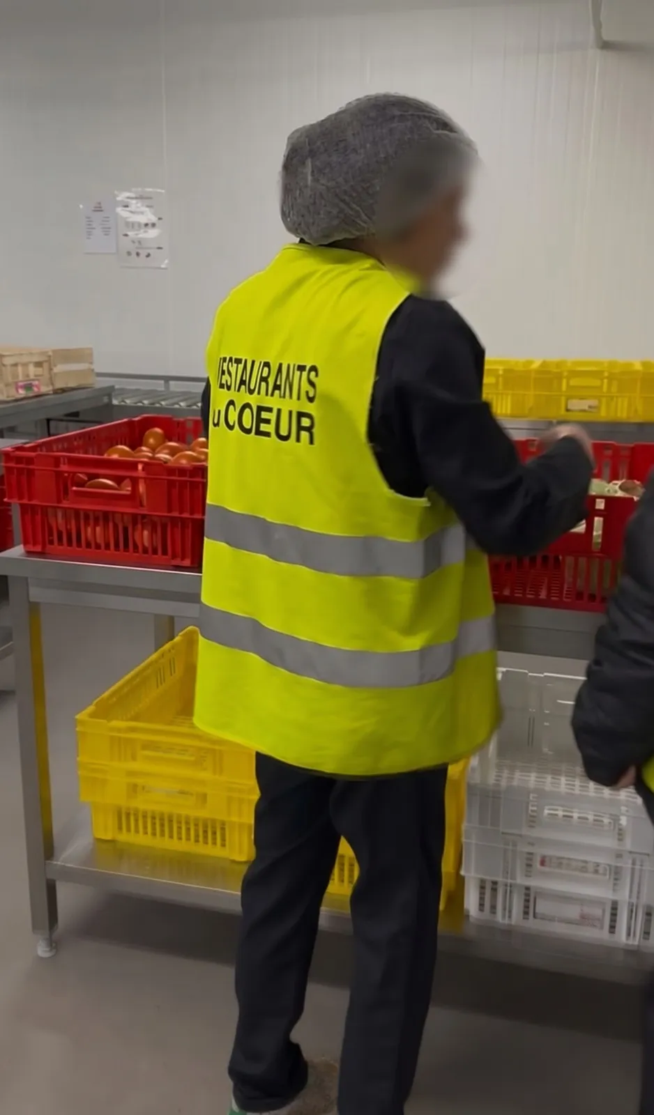 Tri de fruits et légumes en chambre froide